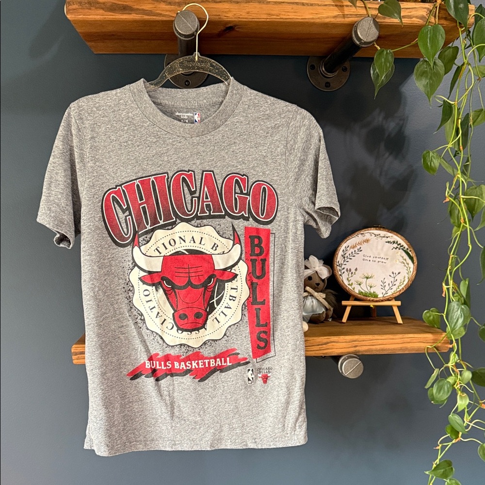 EUC Abercrombie Kids NBA Chicago Bulls Gray T-Shirt 15/16